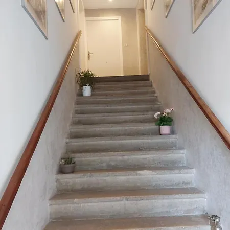Apartment Les Dauphins *
