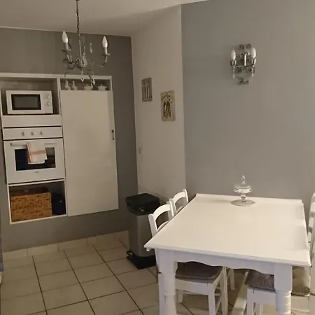 Les Dauphins Apartment *